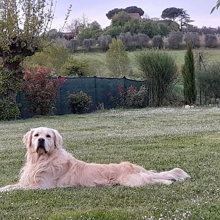Montepulciano - La Casetta Del Pian Delle Noci Acquaviva  Buitenkant foto