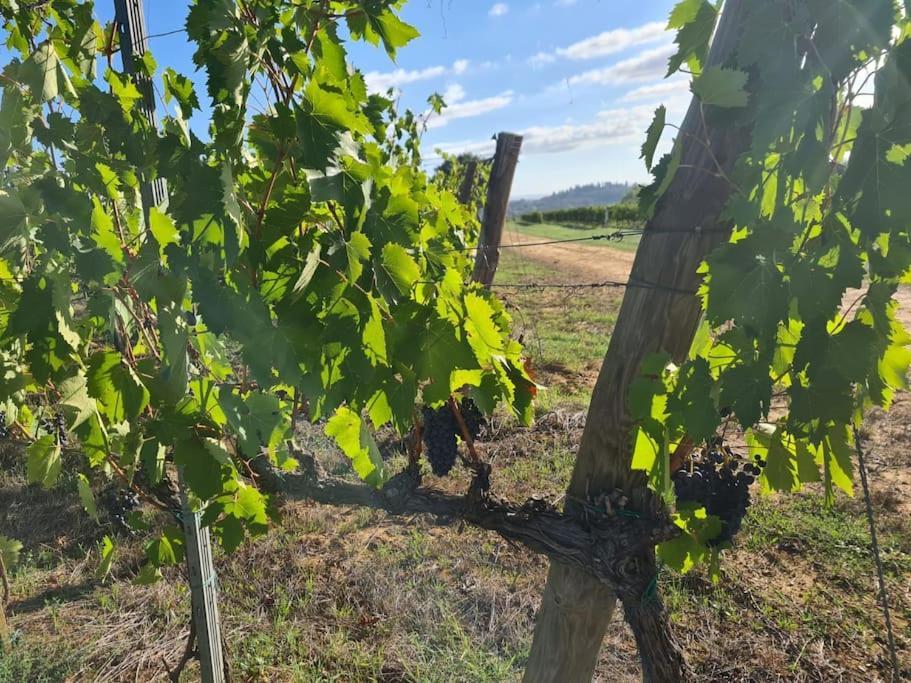 Montepulciano - La Casetta Del Pian Delle Noci Acquaviva  Buitenkant foto