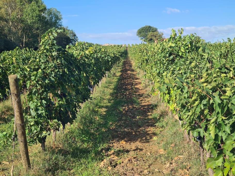 Montepulciano - La Casetta Del Pian Delle Noci Acquaviva  Buitenkant foto