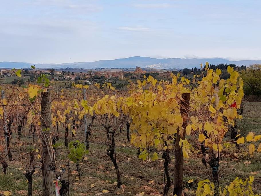 Montepulciano - La Casetta Del Pian Delle Noci Acquaviva  Buitenkant foto
