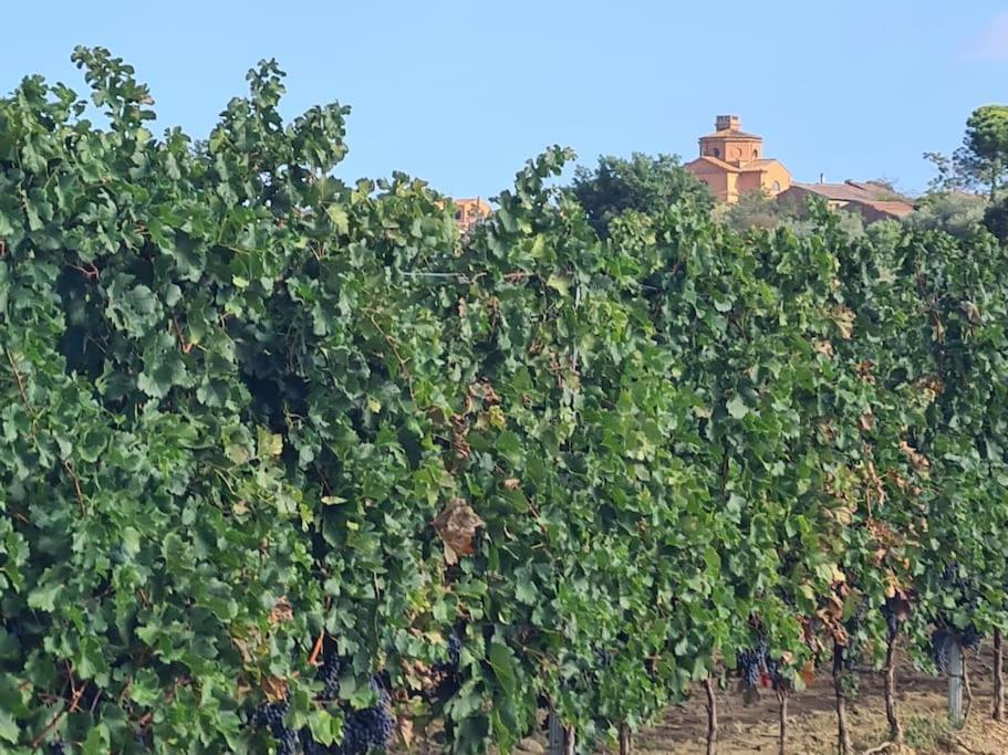 Montepulciano - La Casetta Del Pian Delle Noci Acquaviva  Buitenkant foto