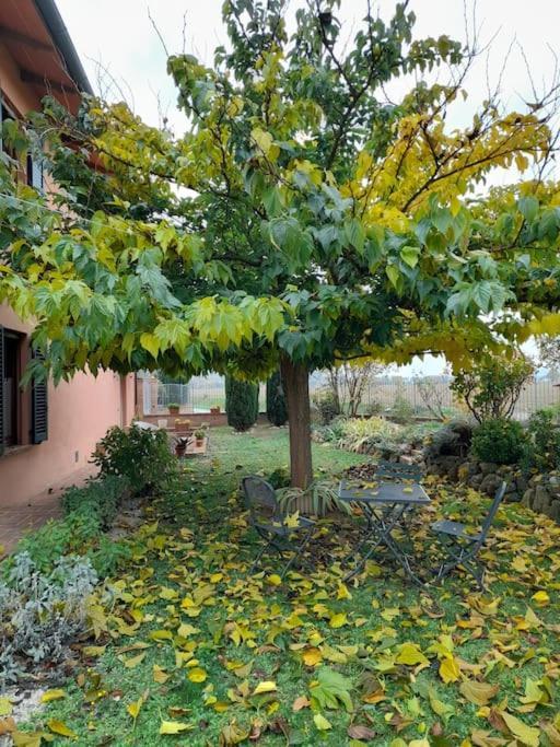 Montepulciano - La Casetta Del Pian Delle Noci Acquaviva  Buitenkant foto