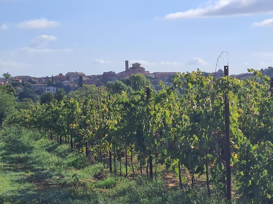 Montepulciano - La Casetta Del Pian Delle Noci Acquaviva  Buitenkant foto