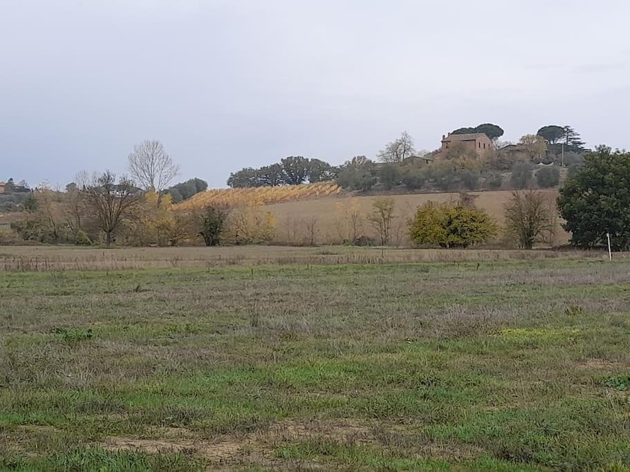 Montepulciano - La Casetta Del Pian Delle Noci Acquaviva  Buitenkant foto