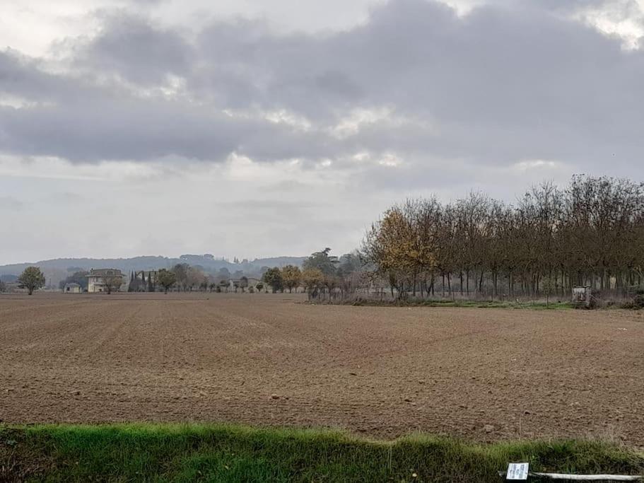 Montepulciano - La Casetta Del Pian Delle Noci Acquaviva  Buitenkant foto