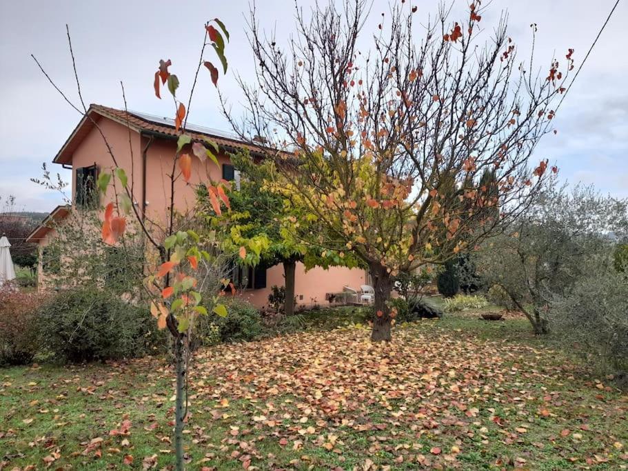 Montepulciano - La Casetta Del Pian Delle Noci Acquaviva  Buitenkant foto