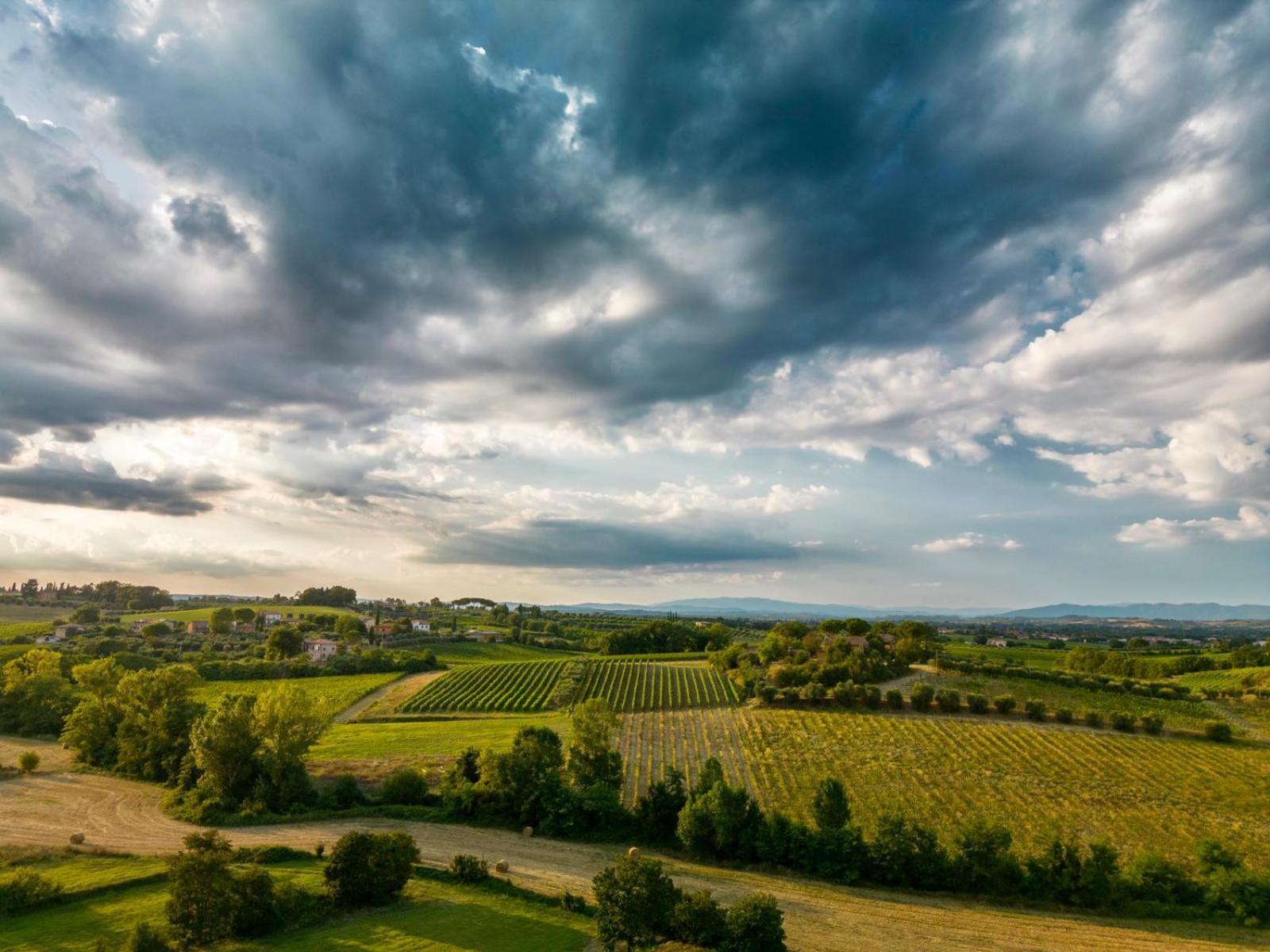 Montepulciano - La Casetta Del Pian Delle Noci Acquaviva  Buitenkant foto