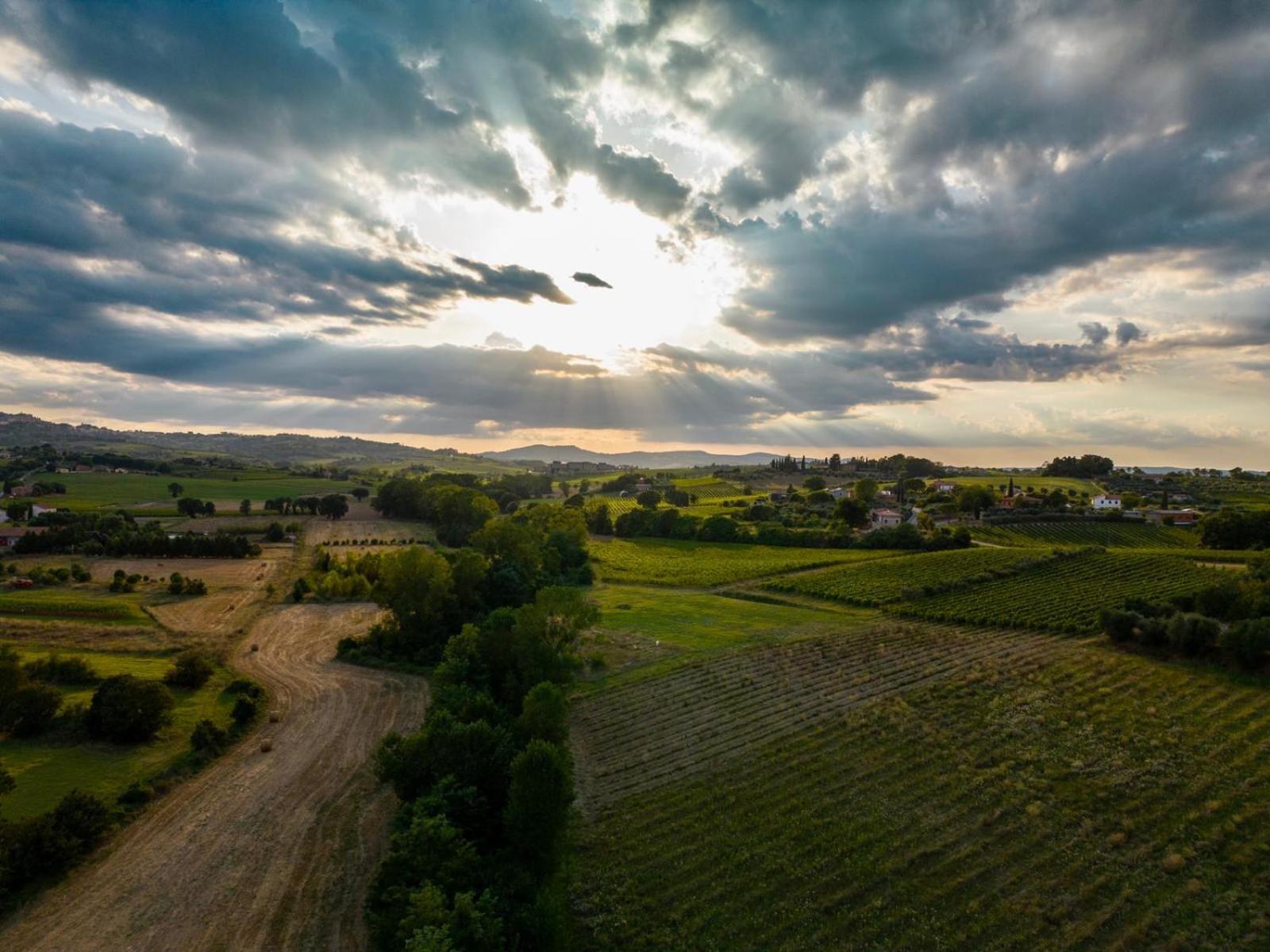 Montepulciano - La Casetta Del Pian Delle Noci Acquaviva  Buitenkant foto