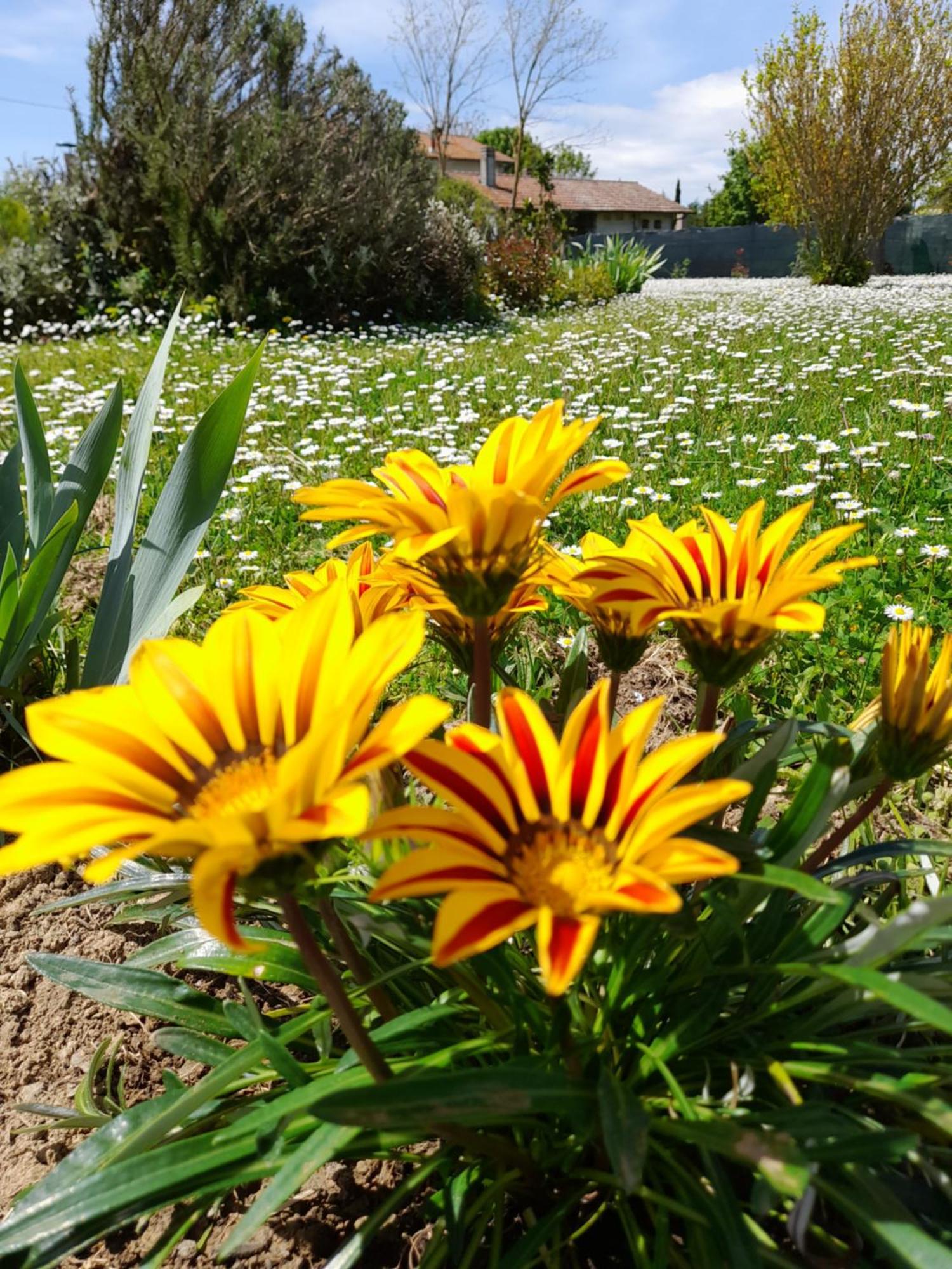 Montepulciano - La Casetta Del Pian Delle Noci Acquaviva  Buitenkant foto
