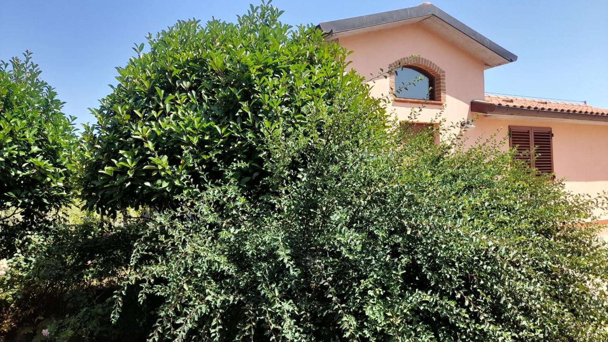 Montepulciano - La Casetta Del Pian Delle Noci Acquaviva  Buitenkant foto